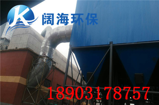 生（shēng）物（wù）質鍋爐（lú）除塵器